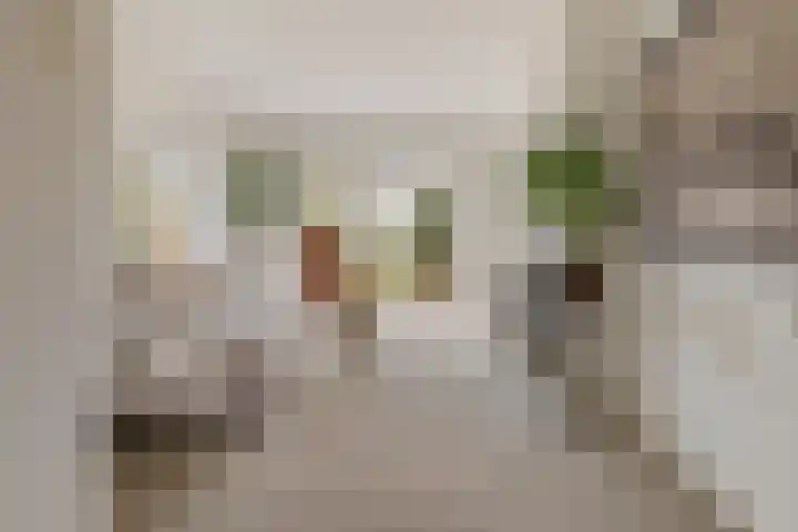 Otto'slaan 10 Hilversum thumbnail 7