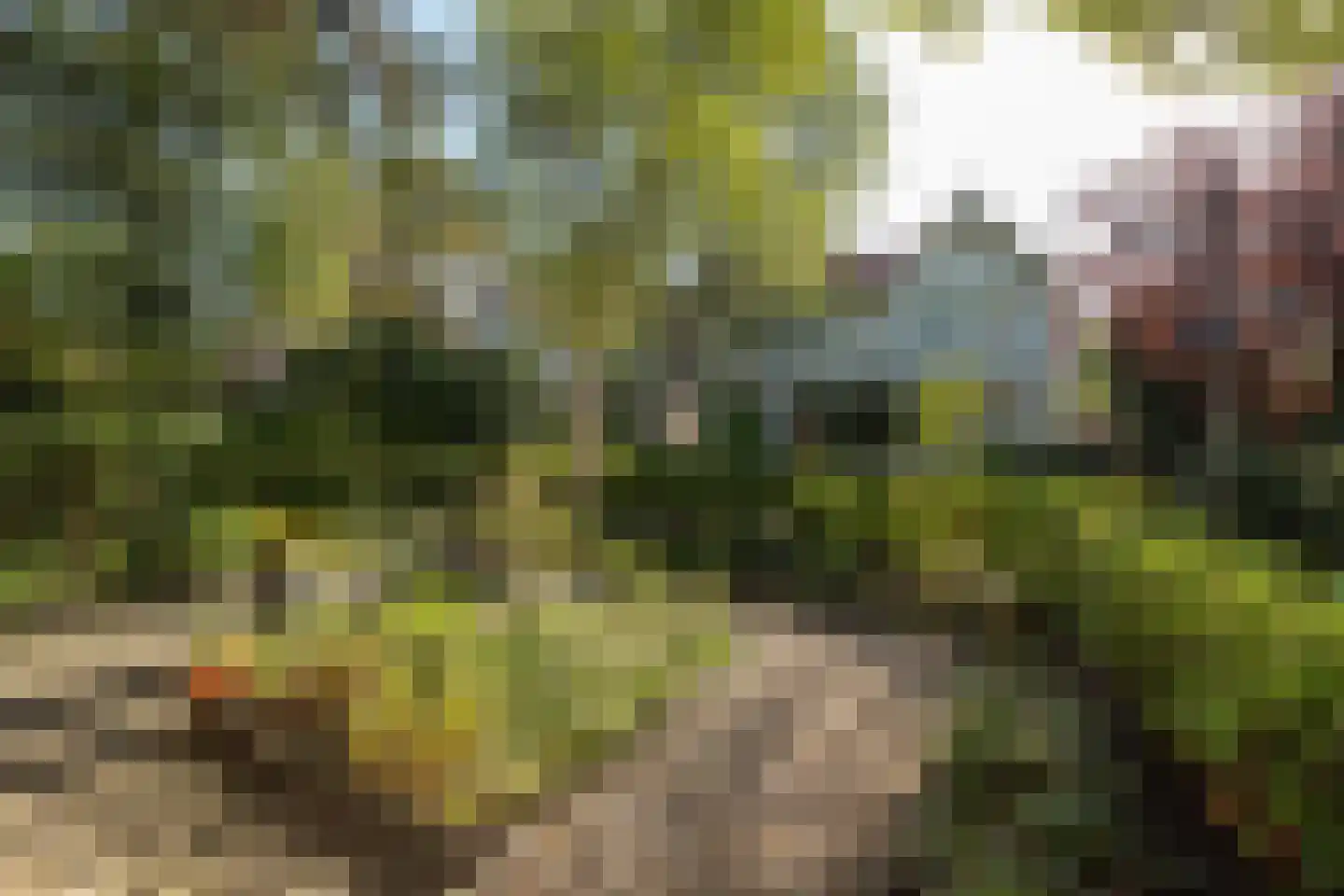 Otto'slaan 2 Hilversum thumbnail 35