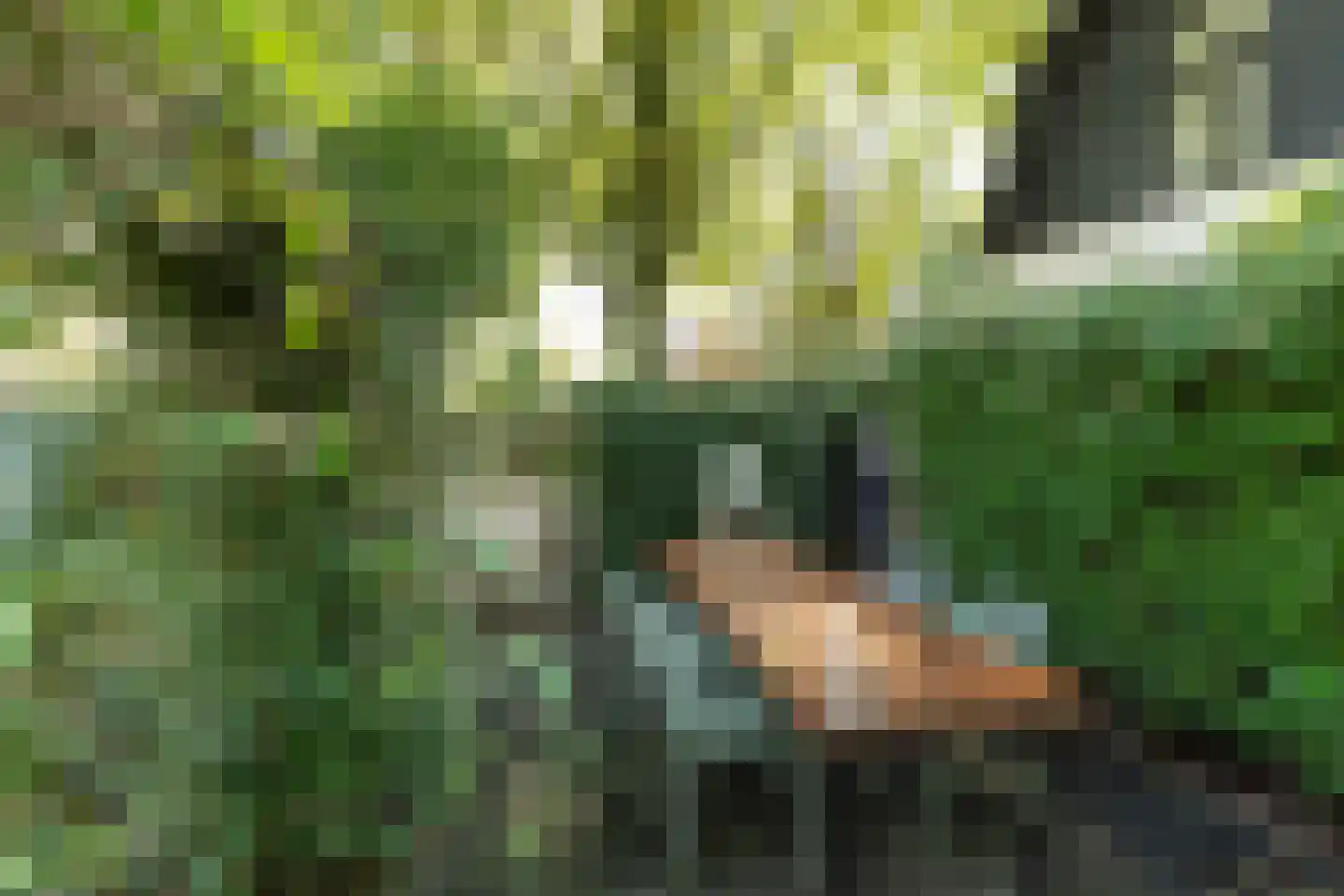 Otto'slaan 2 Hilversum thumbnail 36