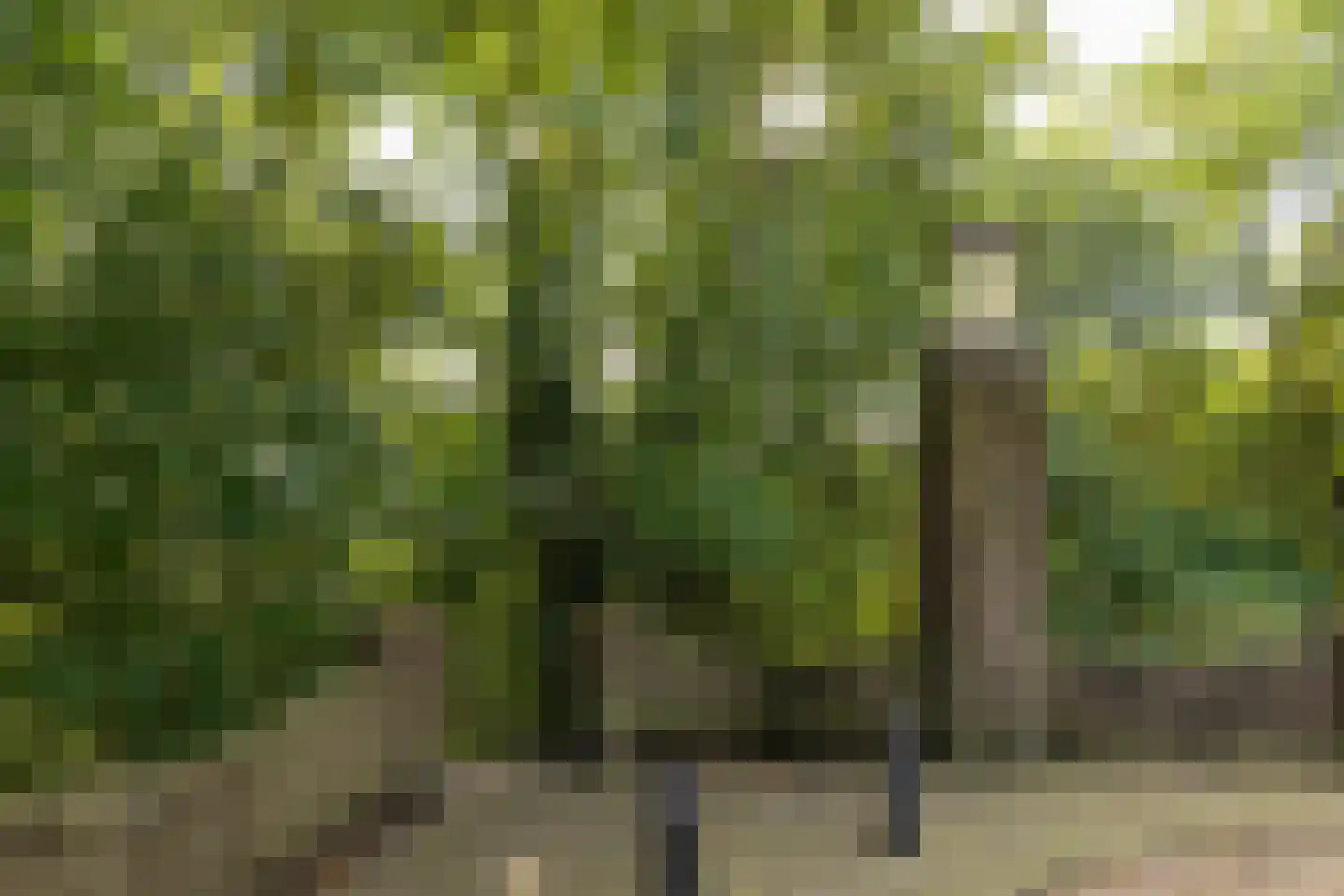 Otto'slaan 2 Hilversum thumbnail 39