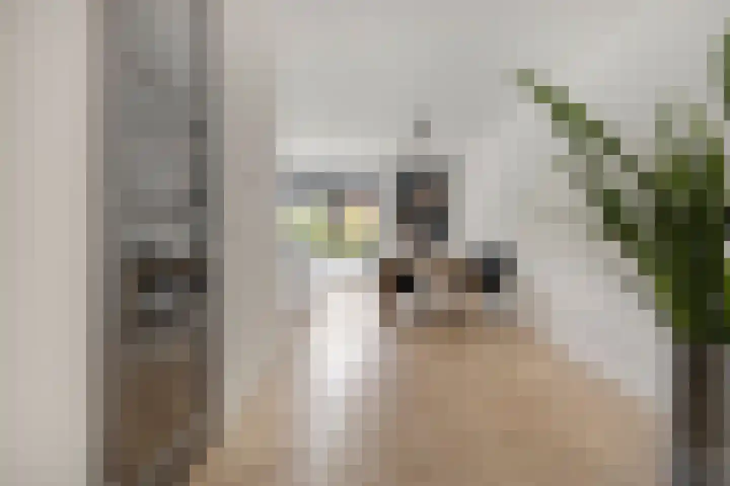 Otto Snaafslaan 11 Maarssen thumbnail 18