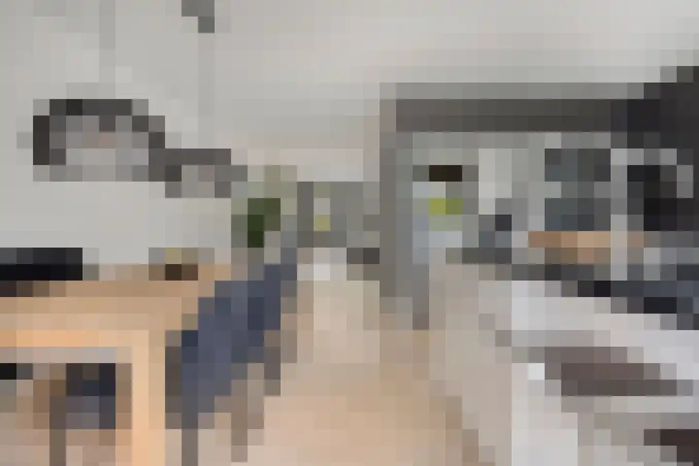 Otto Snaafslaan 11 Maarssen thumbnail 20
