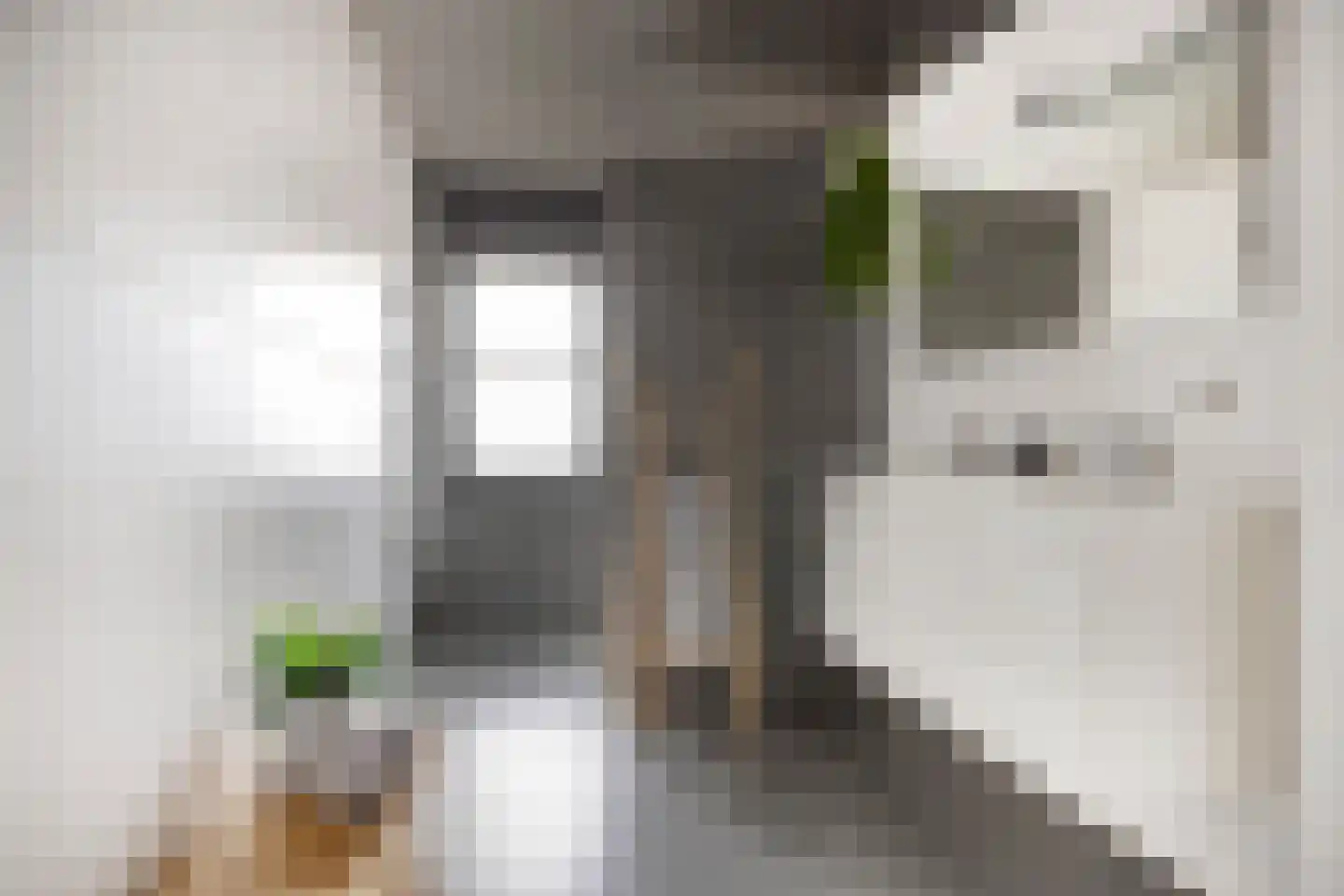 Otto Snaafslaan 11 Maarssen thumbnail 32