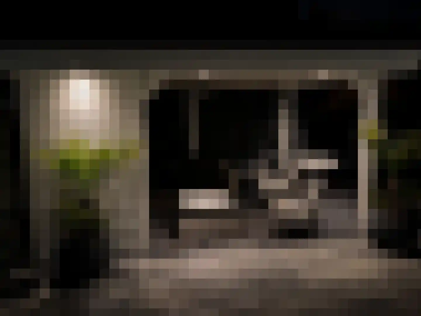 Otto Snaafslaan 11 Maarssen thumbnail 59
