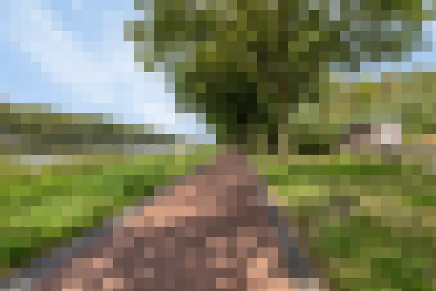 Otto Snaafslaan 11 Maarssen thumbnail 63