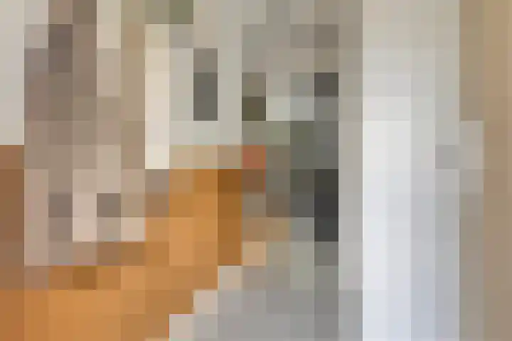 Otto Snaafslaan 14 Maarssen thumbnail 10