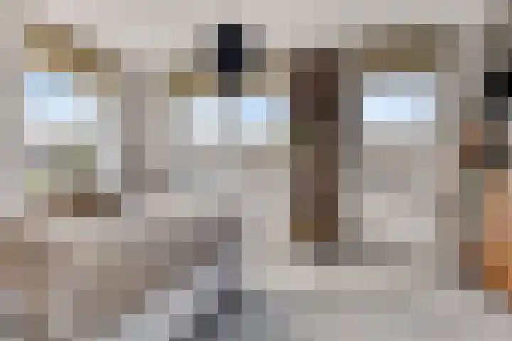 Otto Snaafslaan 14 Maarssen thumbnail 12