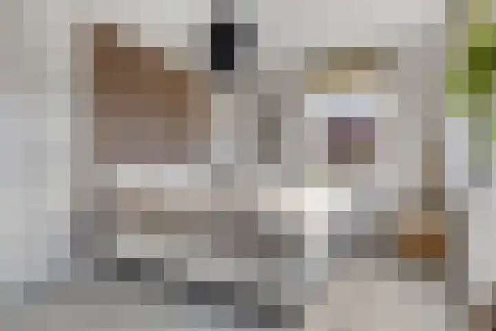 Otto Snaafslaan 14 Maarssen thumbnail 13