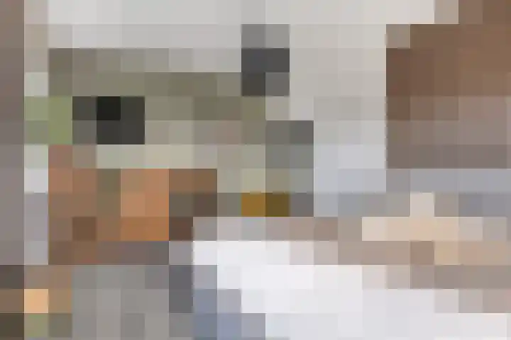 Otto Snaafslaan 14 Maarssen thumbnail 14