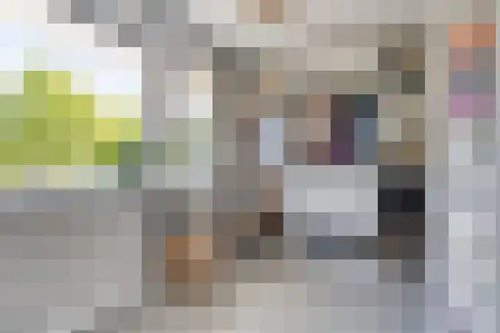 Otto Snaafslaan 14 Maarssen thumbnail 15