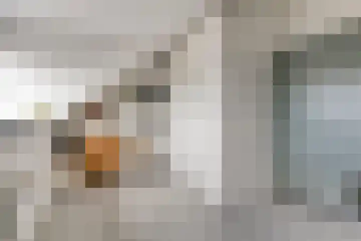 Otto Snaafslaan 14 Maarssen thumbnail 21