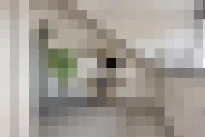 Otto Snaafslaan 14 Maarssen thumbnail 22