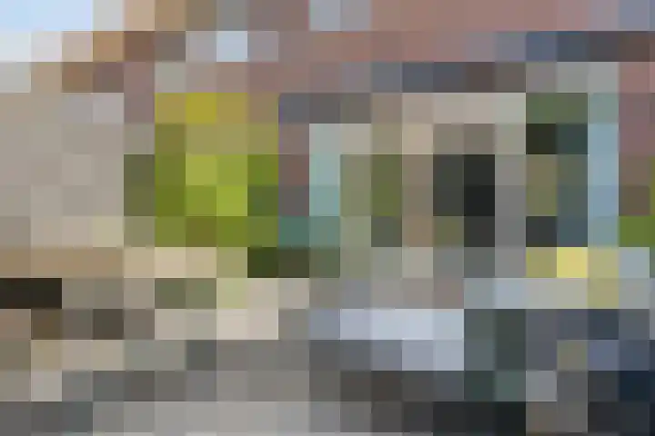 Otto Snaafslaan 14 Maarssen thumbnail 25