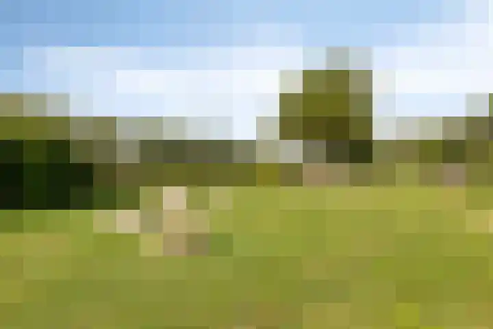 Otto Snaafslaan 14 Maarssen thumbnail 33