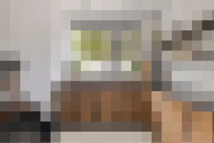 Otto Snaafslaan 14 Maarssen thumbnail 7