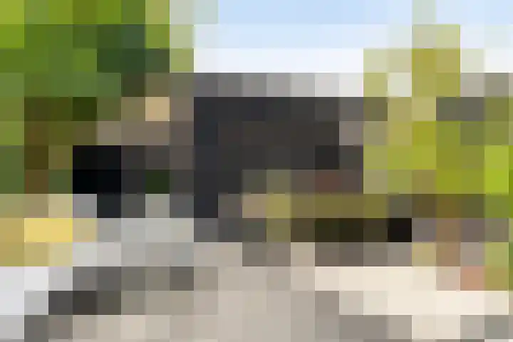 Otto Snaafslaan 14 Maarssen thumbnail 9