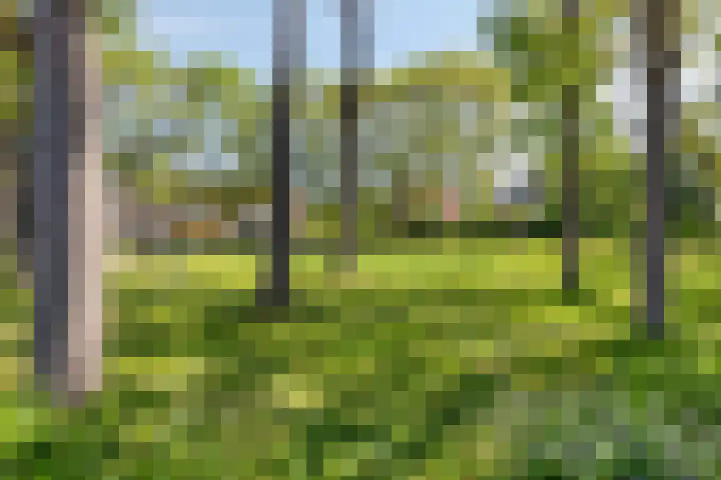 Otto Snaafslaan 24 Maarssen thumbnail 32