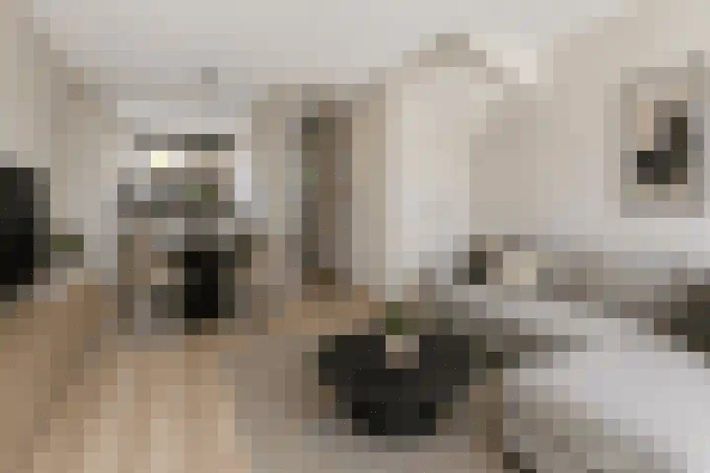 Otto Snaafslaan 24 Maarssen thumbnail 7