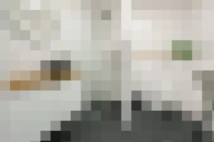 Otto Snaafslaan 6 Maarssen thumbnail 19