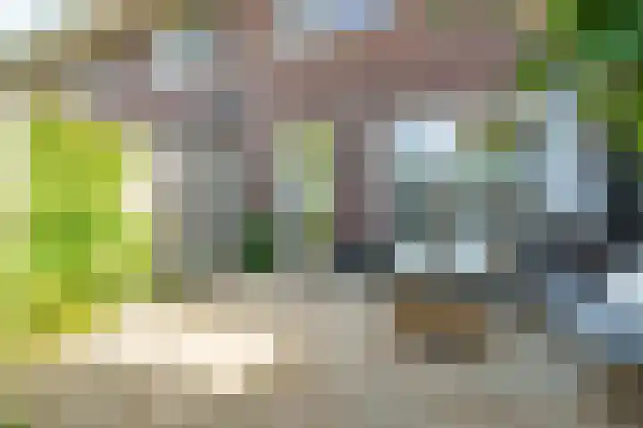 Otto Snaafslaan 6 Maarssen thumbnail 26