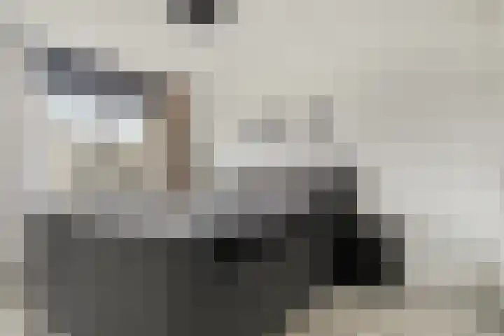 Otto Sternstraat 14 Almere thumbnail 23
