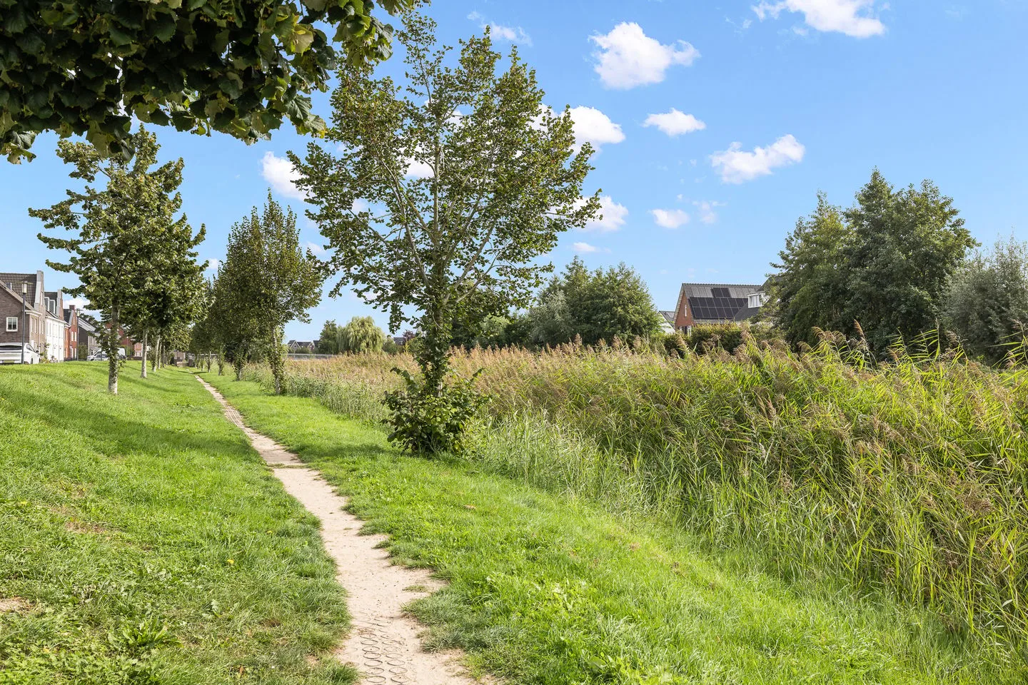Otto van Asperenstraat 1 b Hoef en Haag thumbnail 56