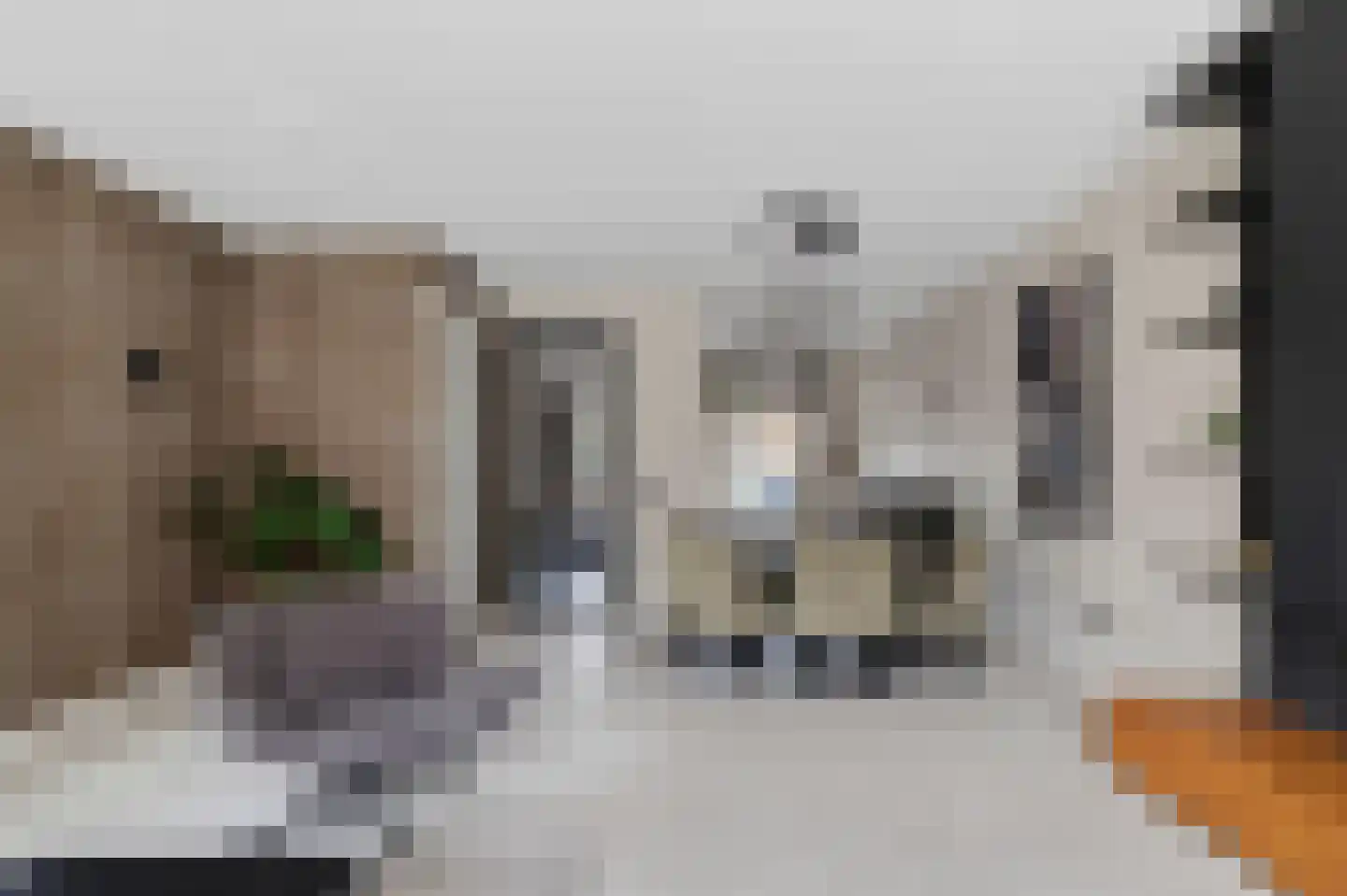 Otto van Asperenstraat 2 Hoef en Haag thumbnail 10