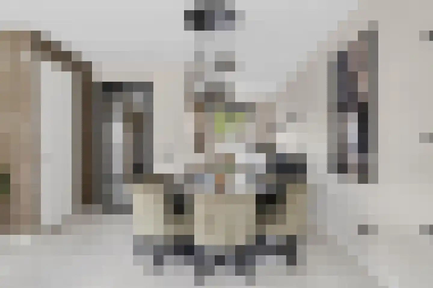 Otto van Asperenstraat 2 Hoef en Haag thumbnail 11