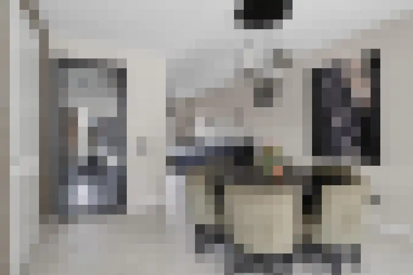 Otto van Asperenstraat 2 Hoef en Haag thumbnail 12