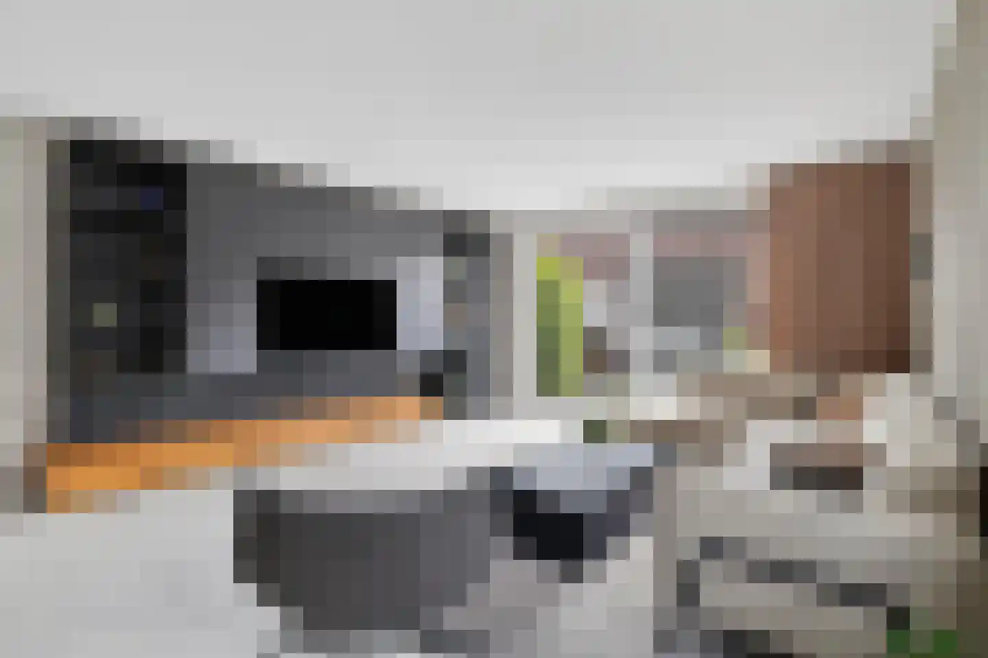 Otto van Asperenstraat 2 Hoef en Haag thumbnail 13