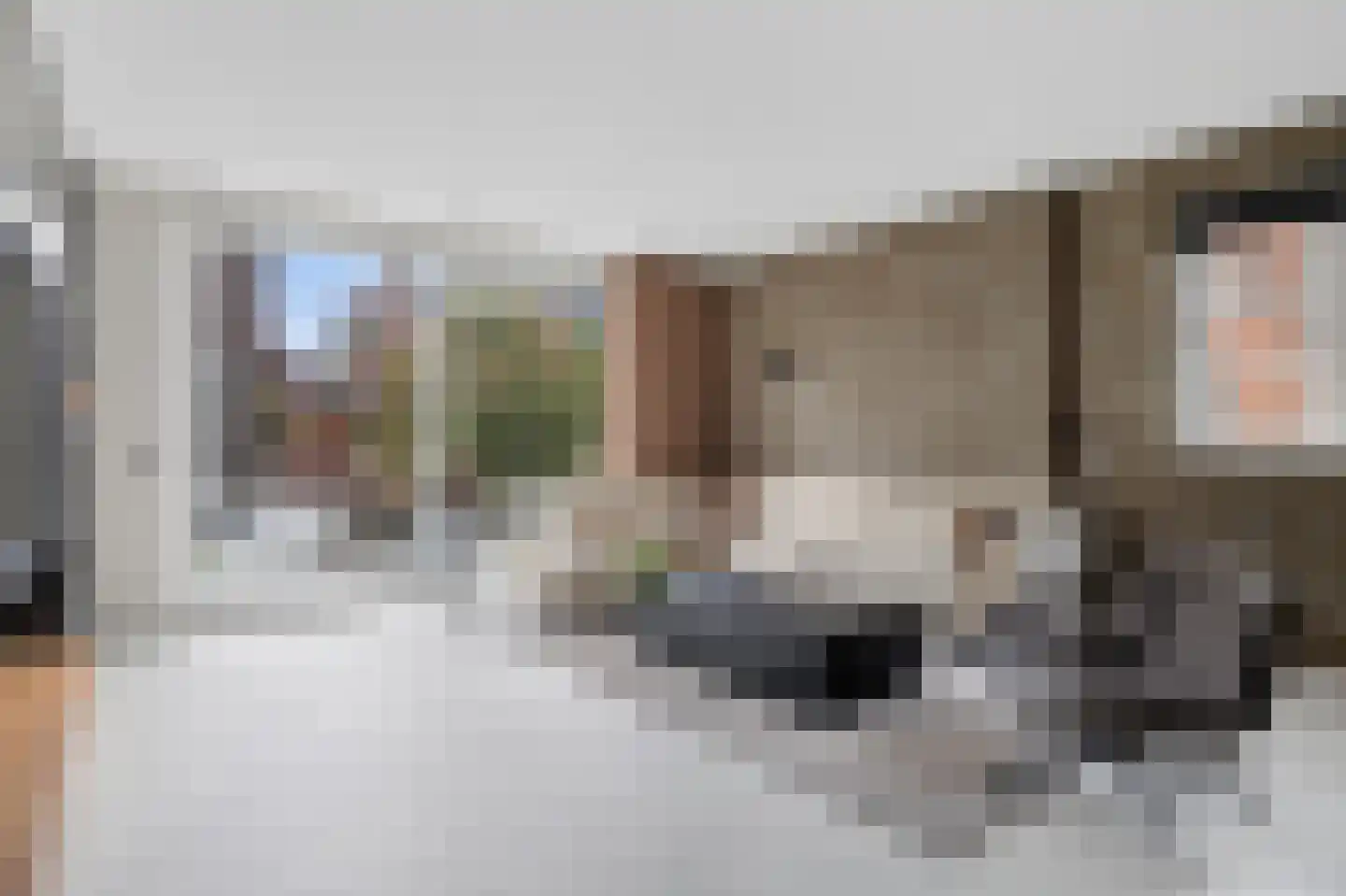Otto van Asperenstraat 2 Hoef en Haag thumbnail 14