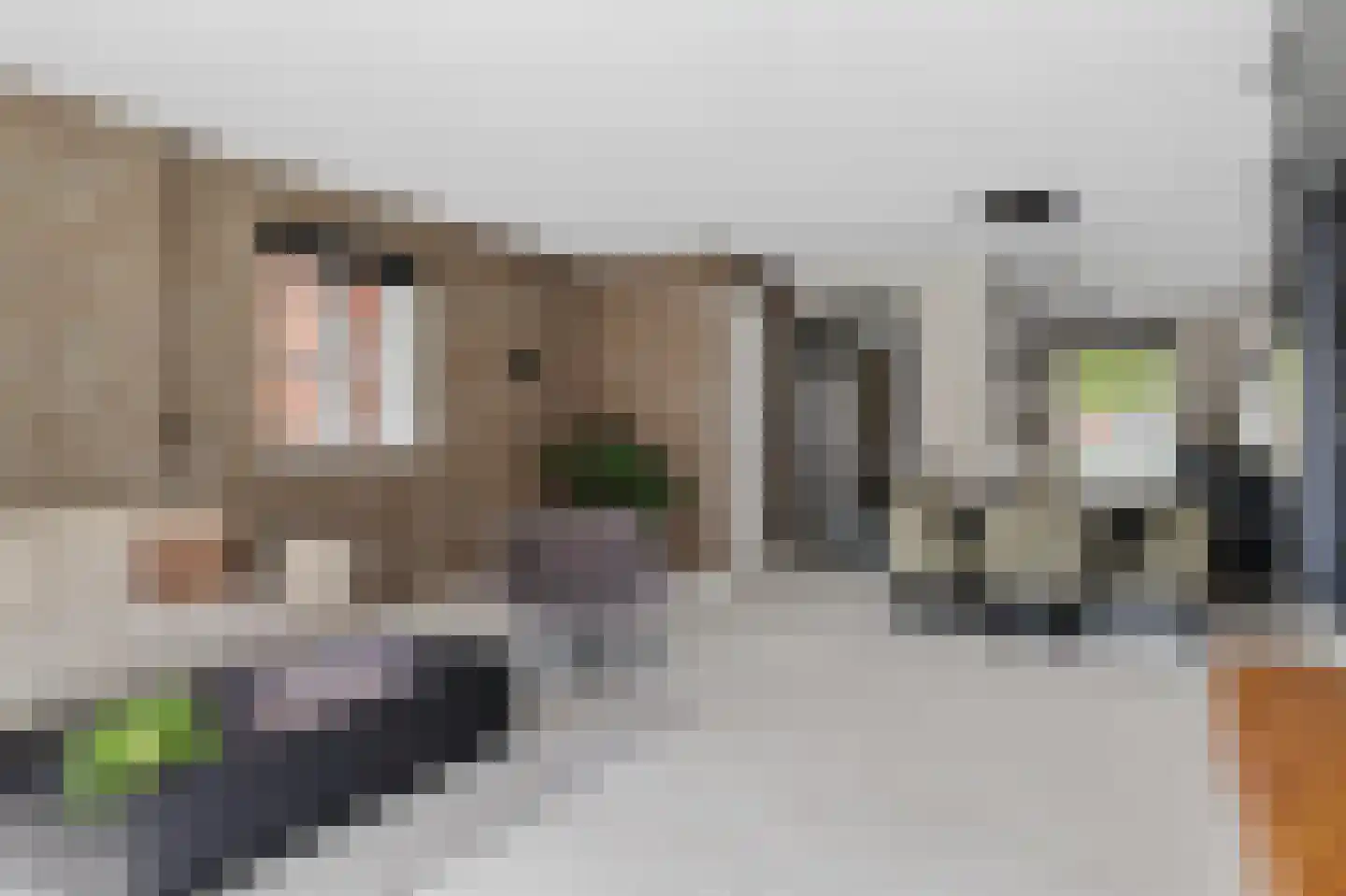 Otto van Asperenstraat 2 Hoef en Haag thumbnail 15