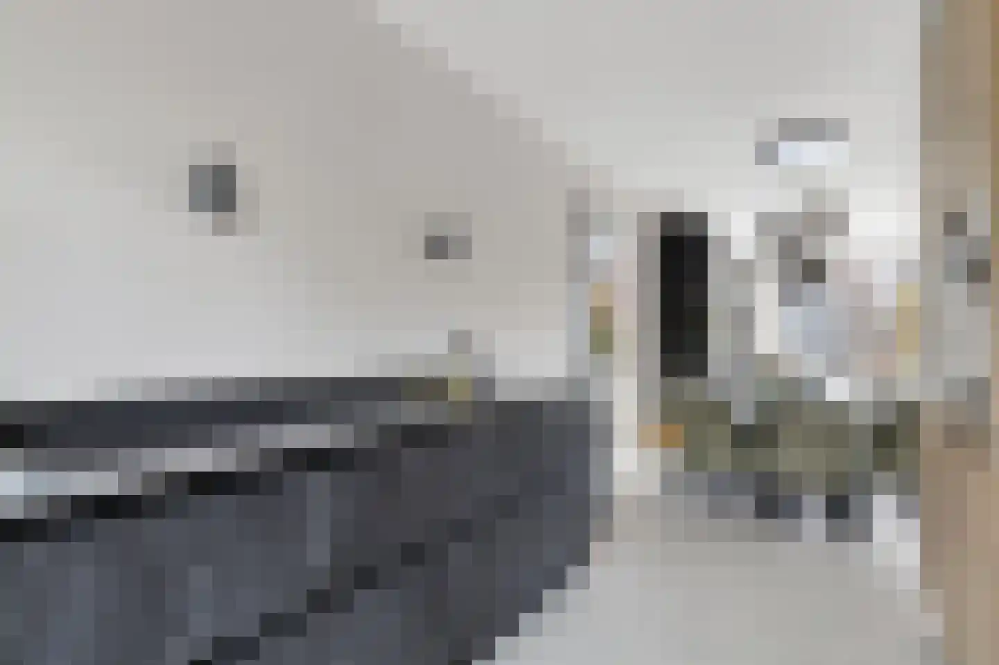 Otto van Asperenstraat 2 Hoef en Haag thumbnail 18