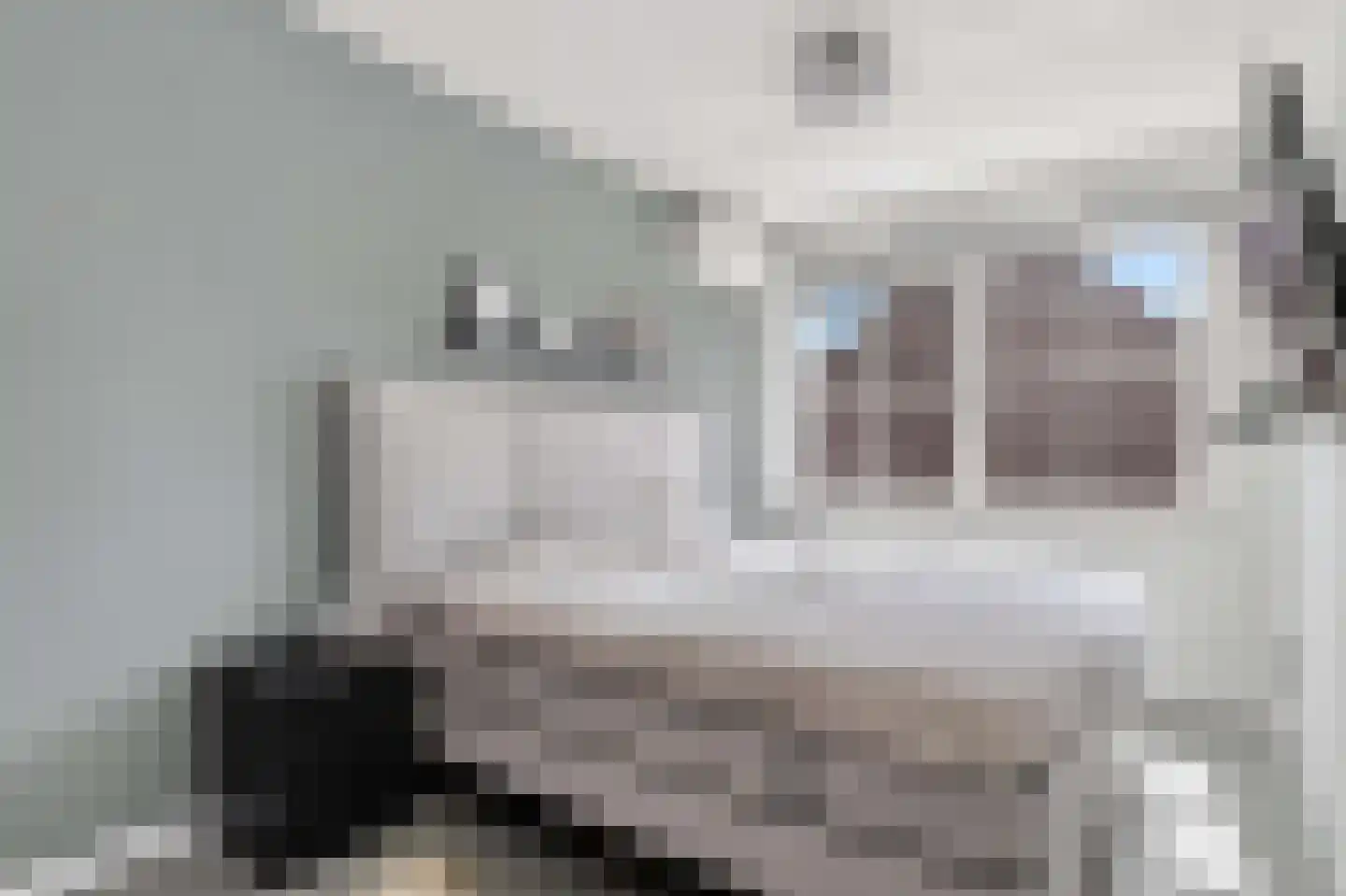 Otto van Asperenstraat 2 Hoef en Haag thumbnail 23