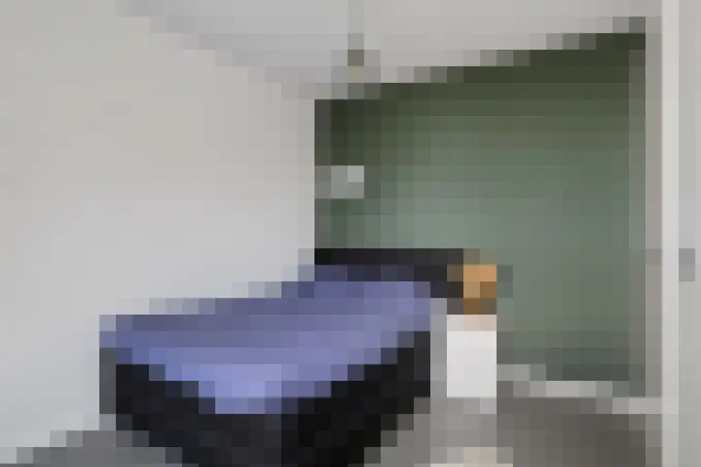 Otto van Asperenstraat 2 Hoef en Haag thumbnail 32