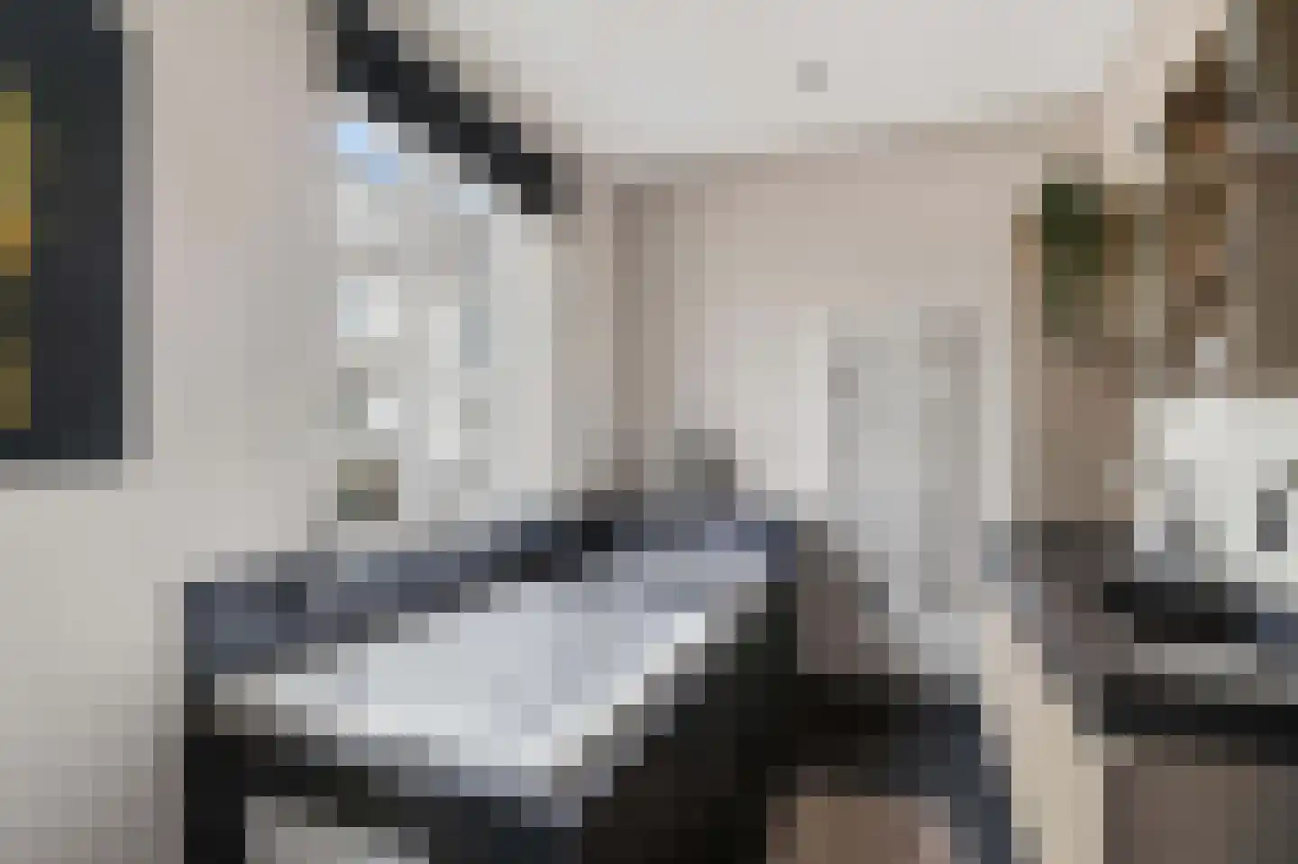 Otto van Asperenstraat 2 Hoef en Haag thumbnail 5