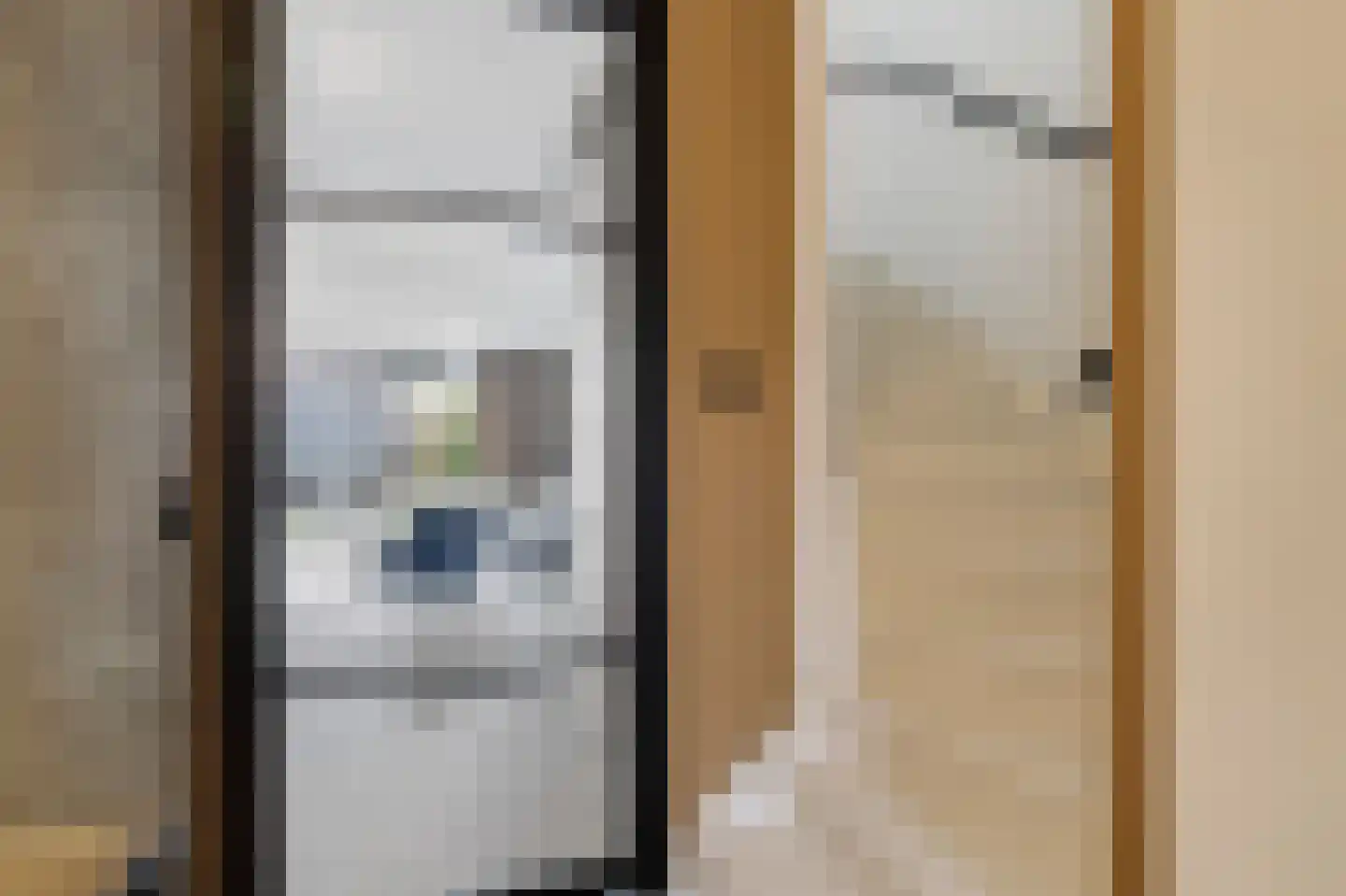 Otto van Asperenstraat 2 Hoef en Haag thumbnail 8