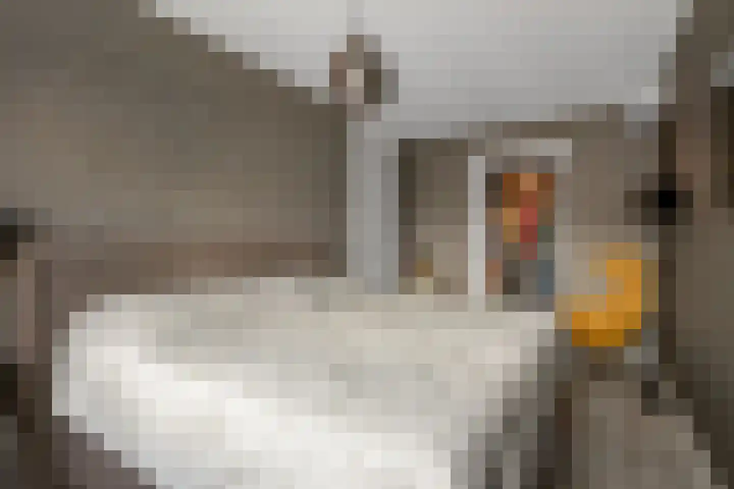 Otto van Asperenstraat 22 Hoef en Haag thumbnail 11