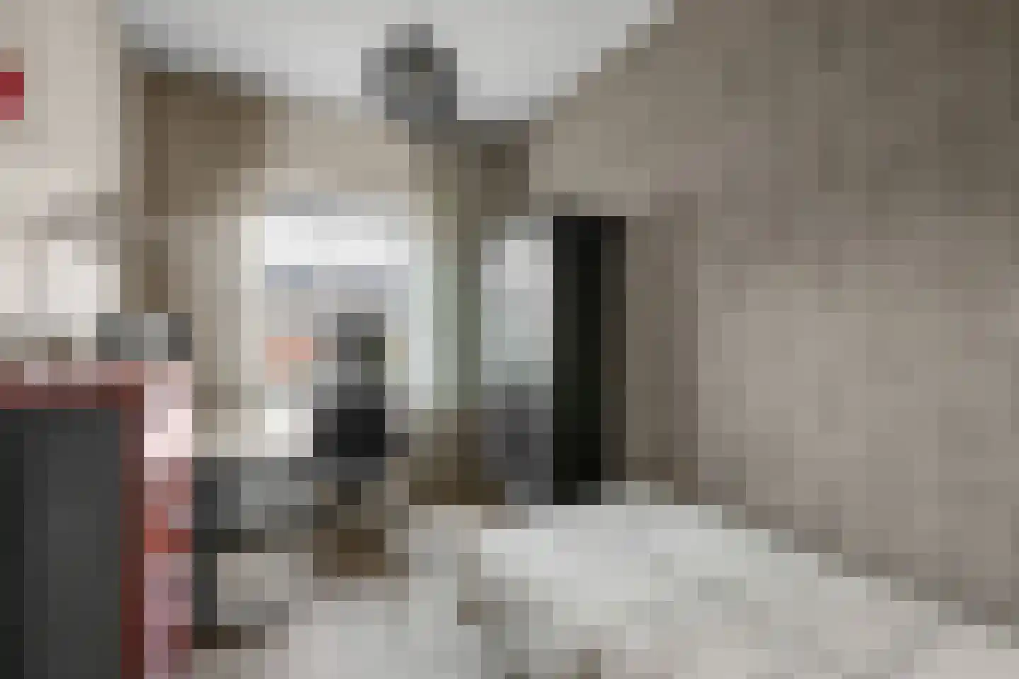 Otto van Asperenstraat 22 Hoef en Haag thumbnail 13