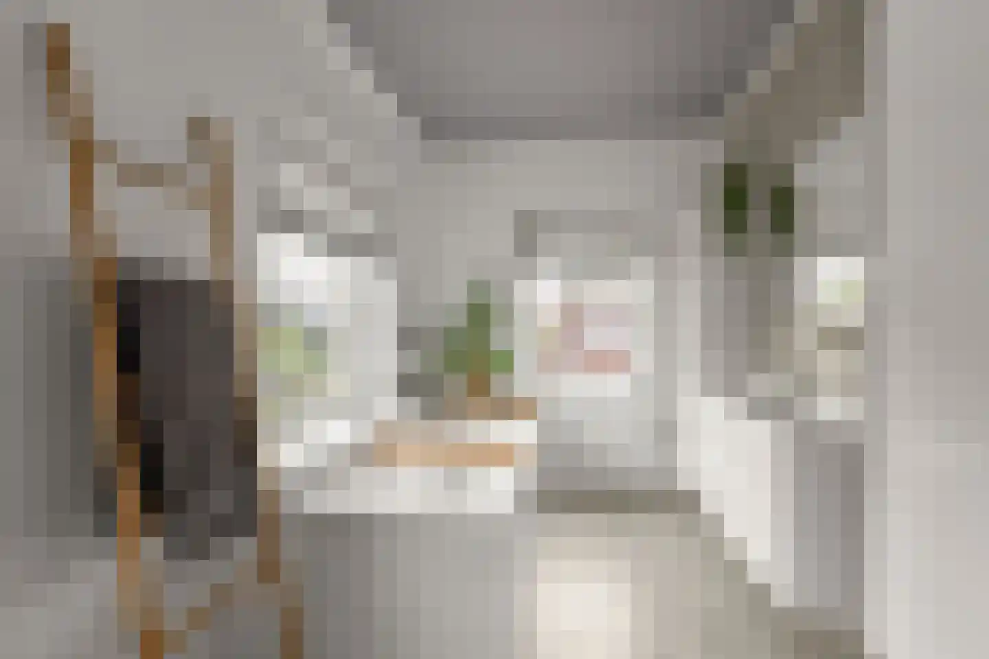 Otto van Asperenstraat 22 Hoef en Haag thumbnail 14