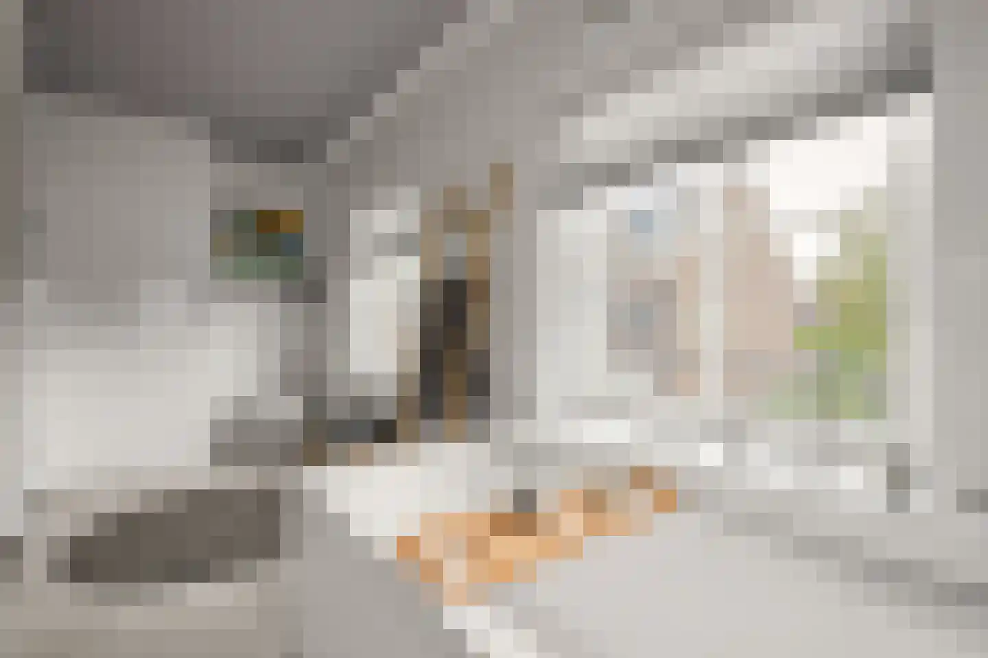Otto van Asperenstraat 22 Hoef en Haag thumbnail 15