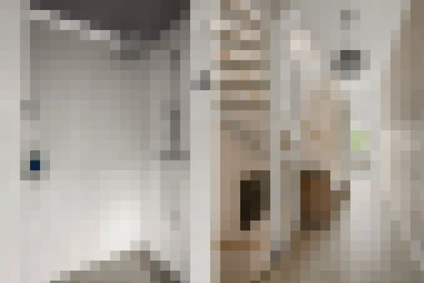 Otto van Asperenstraat 22 Hoef en Haag thumbnail 16
