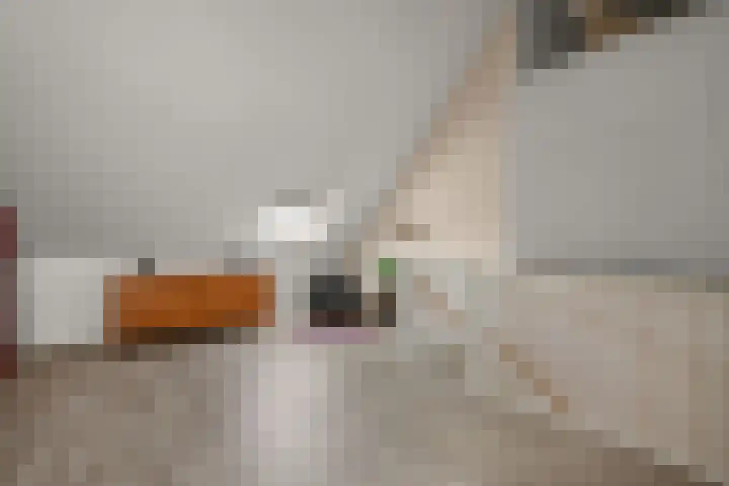 Otto van Asperenstraat 22 Hoef en Haag thumbnail 17