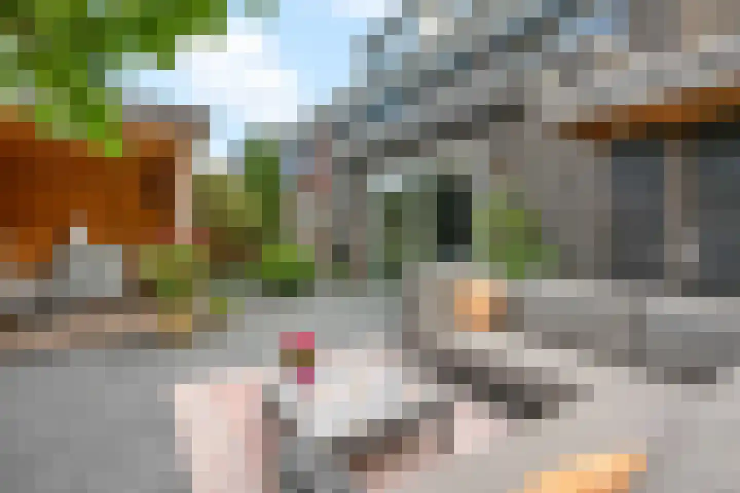 Otto van Asperenstraat 22 Hoef en Haag thumbnail 19