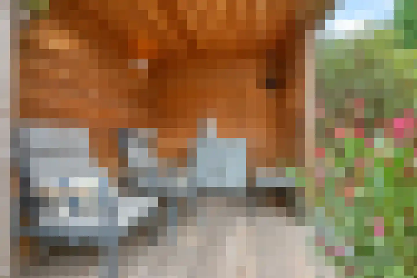 Otto van Asperenstraat 22 Hoef en Haag thumbnail 21