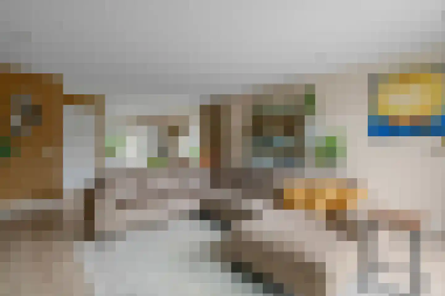 Otto van Asperenstraat 22 Hoef en Haag thumbnail 4