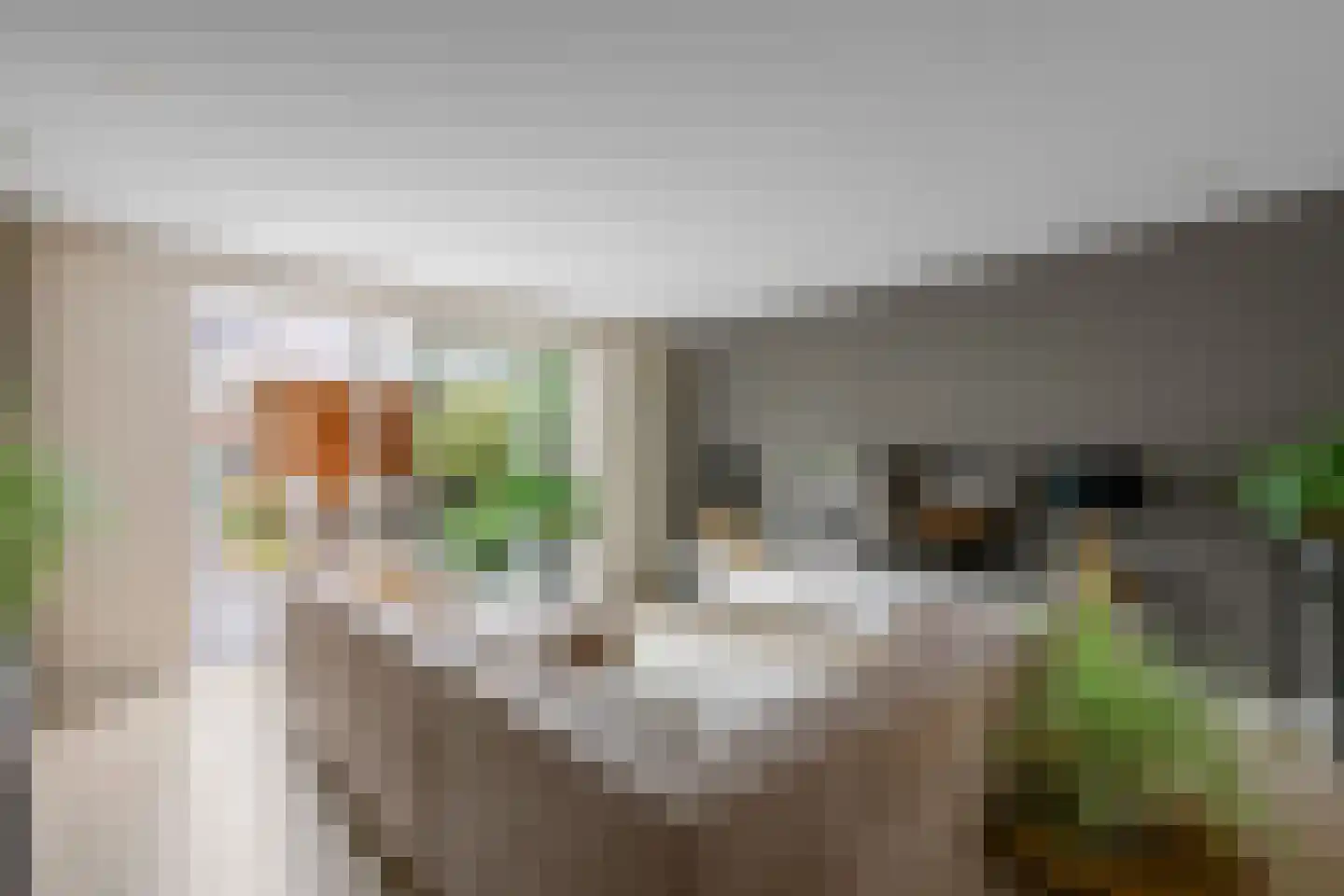 Otto van Asperenstraat 22 Hoef en Haag thumbnail 5