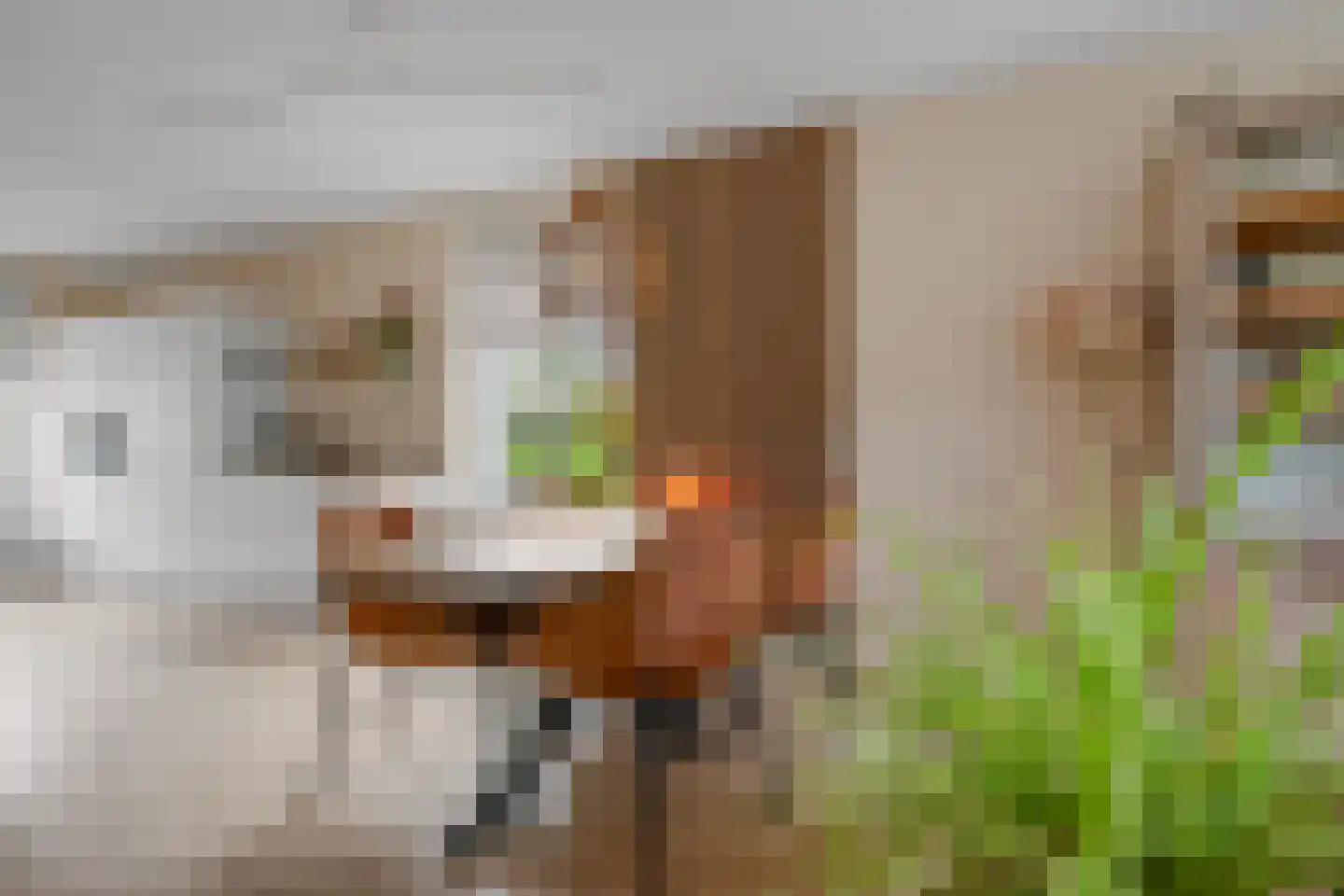 Otto van Asperenstraat 22 Hoef en Haag thumbnail 6