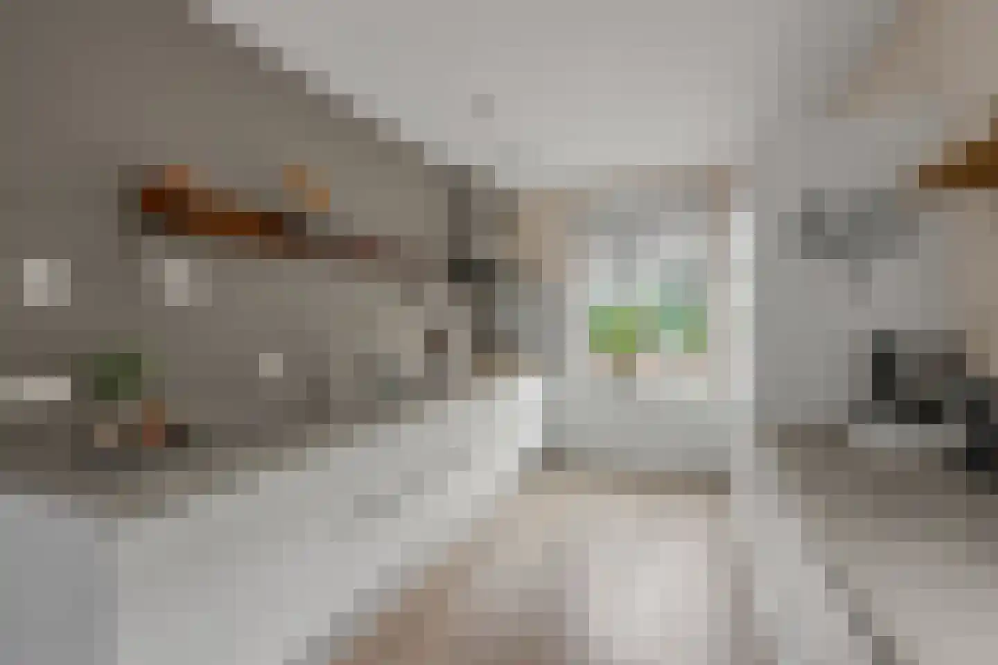 Otto van Asperenstraat 22 Hoef en Haag thumbnail 7