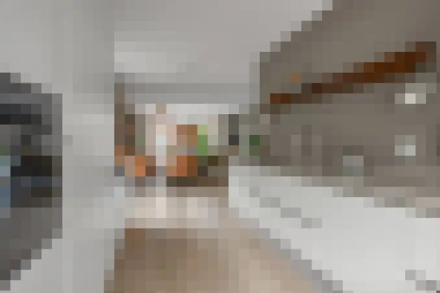 Otto van Asperenstraat 22 Hoef en Haag thumbnail 8